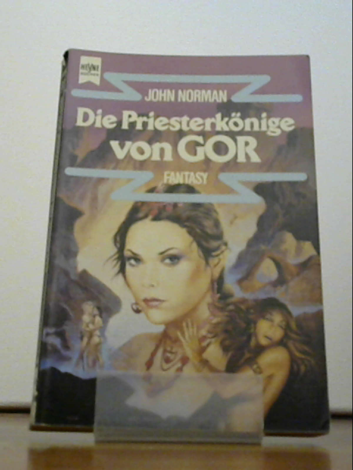 Die Priesterkönige von Gor. Ein Roman aus dem GOR- ZYKLUS. - John Norman