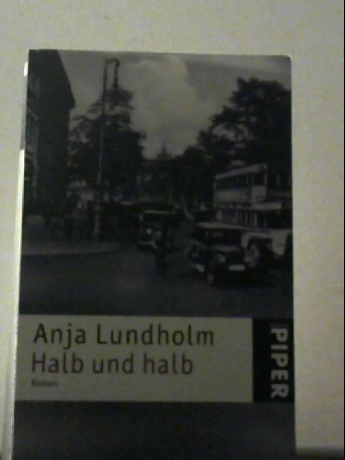 Halb und halb: Roman Lundholm, Anja - Anja Lundholm