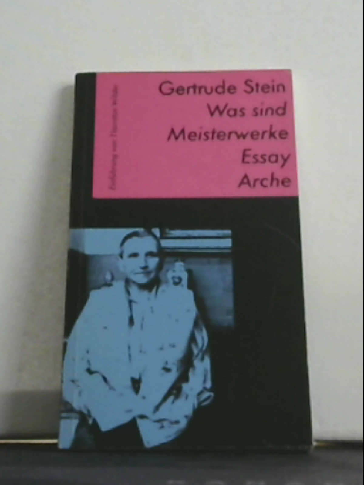 Was sind Meisterwerke: Essay Stein, Gertrude Wilder, Thornton und Stiebel, Marie A - Gertrude Stein