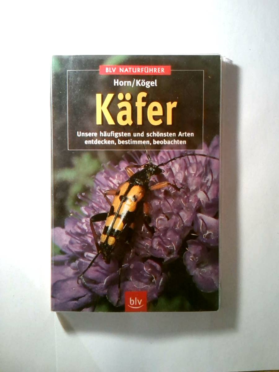 Käfer - Unsere häufigsten und schönsten Arten entdecken, bestimmen, beobachten Hans Horn and Friedrich Kšge - Hans Horn - Friedrich K?gel