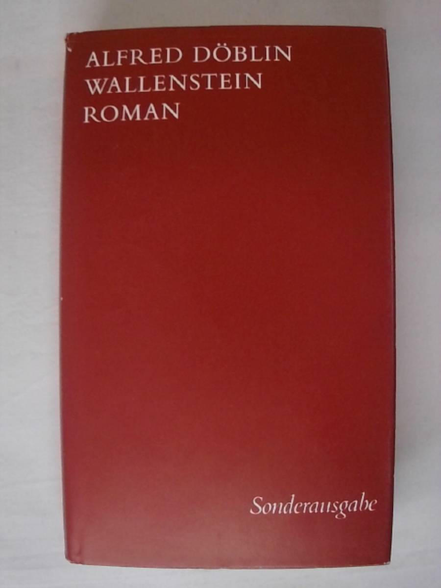 Ausgewählte Werke in Einzelbänden / Wallenstein: Roman